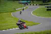 cadwell-no-limits-trackday;cadwell-park;cadwell-park-photographs;cadwell-trackday-photographs;enduro-digital-images;event-digital-images;eventdigitalimages;no-limits-trackdays;peter-wileman-photography;racing-digital-images;trackday-digital-images;trackday-photos